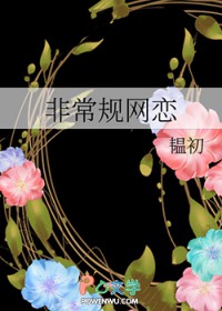 非常规网恋