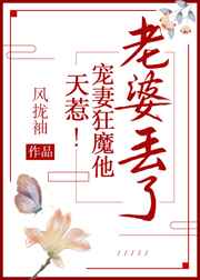天惹!宠妻狂魔他老婆丢了!