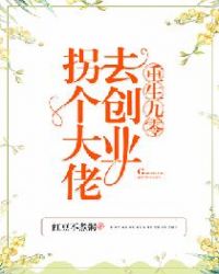 重生九零:拐个大佬去创业
