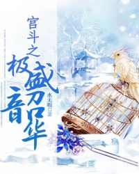 宫斗之极盛韶华