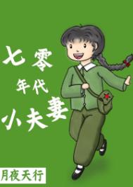 七零年代小夫妻(作战:月夜天行)