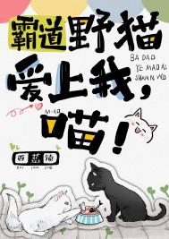 霸道野猫爱上我,喵!