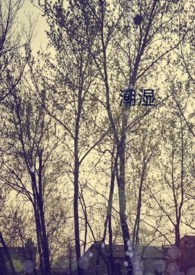 潮湿gl(纯百)