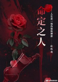 命定之人(异国,1v1,高H)