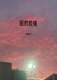 昭然若揭(高h,1V1)